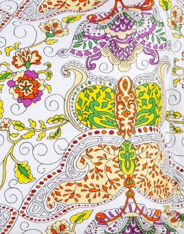 Paisley Butterflies
