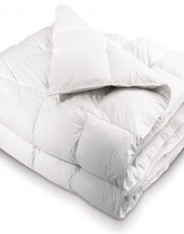 Snow Flake Down Comforters