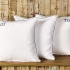 Moi Toi Linen Decorative Pillows