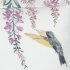 Hummingbird: Detail