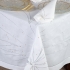 Sparkles Tablecloth Detail: Silver & Gold Embroidery