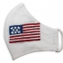 Face Mask: Embroidered American Flag